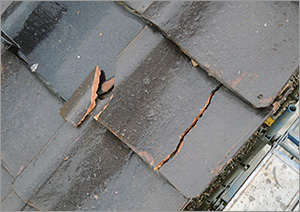 屋根瓦の点検・修理・補修